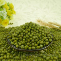 Chinese Dried Green Mung Bean